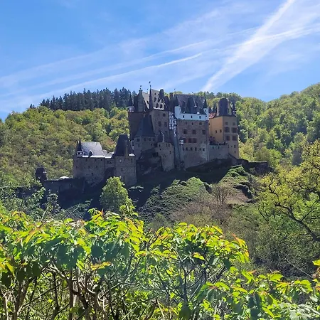 Mein-mosel-chalet-haus-birke Dom wakacyjny *